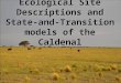 Ecological Site Descriptions and State-and-Transition models of the Caldenal