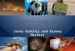 Exotic Animals Jenny Ordonez and Gianna Maldari. The Issue… Should exotic animals be kept as pets? Some think…exotic animals are not meant to be caged