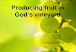 Producing fruit in God’s vineyard St. Peter Worship Sunday, October 26th
