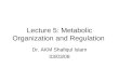 Lecture 5: Metabolic Organization and Regulation Dr. AKM Shafiqul Islam 03/03/08