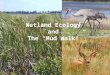 Wetland Ecology and The “Mud Walk!”. So What’s Ecology??? The study of Ecosystems Ecosystem: An area where living and non-living things interact