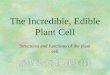 The Incredible, Edible Plant Cell Structures and functions of the plant cell