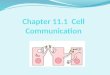 Cellular Internet Cell to cell communication is essential in order for organisms to coordinate activities that develop, survive and reproduce Cell communication