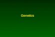 Genetics. I. Foundations A.Principles 1.Developed by Mendel w/o knowledge of genes or chromosomes (“heredity factors”) 2.Developed principles of dominance,