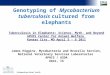 Safeguarding Animal Health Genotyping of Mycobacterium tuberculosis cultured from elephants Tuberculosis in Elephants: Science, Myth, and Beyond APHIS