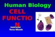 Human Biology Instructor Terry Wiseth CELLFUNCTION