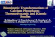 Biomimetic Transformations of Calcium Phosphates - Thermodynamic and Kinetic Studies D. Rabadjieva 1, S. Tepavitcharova 1, R. Gergulova 1, R. Titorenkova