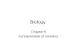 Biology Chapter 9 Fundamentals of Genetics. What is Genetics? a.Study of heredity b. Transmission of traits from parent to offspring