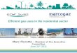 Efficient gas uses in the residential sector Marc Florette – Member of the Executive Committee June 24 th 2011