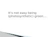 It’s not easy being (photosynthetic) green…. The origin and diversification of Flowering Plants  om  