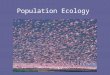 Population Ecology. What is a population? All the members of a species living in the same place at the same time. Organisms usually breed with members