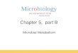 Microbiology AN INTRODUCTION EIGHTH EDITION TORTORA FUNKE CASE Chapter 5, part B Microbial Metabolism