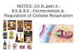 NOTES: Ch 9, part 4 - 9.5 & 9.6 - Fermentation & Regulation of Cellular Respiration