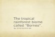 The tropical rainforest biome called “Borneo”. By: Umar Ibrahim 6A