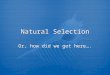 Natural Selection Or, how did we get here….. Key concepts: Communicate scientific understandings using descriptions, explanations, and models Explain