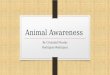 Animal Awareness By Cristobal Nicolas Rodriguez-Rodriguez