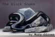 The Black Snake. Mary Oliver was born in Maple Heights, Ohio, in 1935… She lived a quiet simple life… Oliver Now lives in Provincetown, Massachusetts…