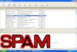 Introduction Spam in Society Email Spam IM Spam Text Spam Blog Spamming Spam Blogs