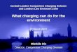 Central London Congestion Charging Scheme and London Low Emission Zone What charging can do for the environment 29 March 2007 Michéle Dix Director, Congestion