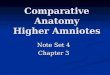 Comparative Anatomy Higher Amniotes Note Set 4 Chapter 3