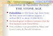 Paleolithic & Neolithic Periods THE STONE AGE Paleolithic or Old Stone Age dates from the first stone tool makers (approx. 2 million BCE to about 10,000