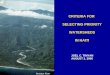 Roseaux River CRITERIA FOR SELECTING PRIORITY WATERSHEDS IN HAITI JOEL C. TIMYAN AUGUST 2, 2006