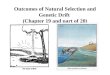 Outcomes of Natural Selection and Genetic Drift (Chapter 19 and part of 20)