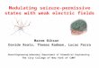 Modulating seizure-permissive states with weak electric fields Marom Bikson Davide Reato, Thomas Radman, Lucas Parra Neural Engineering Laboratory - Department