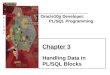 PL/SQLPL/SQL Oracle10g Developer: PL/SQL Programming Chapter 3 Handling Data in PL/SQL Blocks
