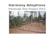 Harmony Adoptions Montvale Tree Project 2012. And here we go…