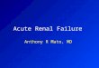 Acute Renal Failure Anthony R Mato, MD. Basic Facts Renal failure over the course of hours to days. The result will be failure to excrete nitrogenous