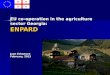 EU co-operation in the agriculture sector Georgia: ENPARD Juan Echanove February, 2013