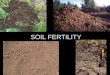 SOIL FERTILITY Which soil profile is likely to be more fertile?AB