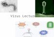 Virus Lecture Virus The nonliving Undead Virus Characteristics About as big as a protein Basic Virus Anatomy 1. outer protein coat 2.Inner core of nucleic
