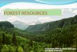 FOREST RESOURCES. RESERVED FOREST PROTECTED FORESTS