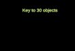 Key to 30 objects. 1.Shark jaw - mako 2.Lichen (crustose type) 3.Virus (bacteriophage) 4.Bracket fungi 5.Hydra (budding) 6.Nautilus (shell)/amanite