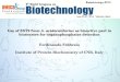 Use of EST2 from A. acidocaldarius as bioactive part in biosensors for organophosphates detection Ferdinando Febbraio Institute of Protein Biochemistry