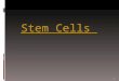 Stem Cells Stem Cells 1. What is a Stem Cell? GeneralSpecific  Unspecialized cells  Give rise to more than 250 specialized cells in the body  Serve