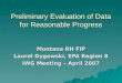 Preliminary Evaluation of Data for Reasonable Progress Montana RH FIP Laurel Dygowski, EPA Region 8 IWG Meeting – April 2007