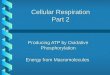 Cellular Respiration Part 2 Producing ATP by Oxidative Phosphorylation Energy from Macromolecules