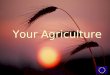 Your Agriculture. What is the challenge? What can policy do? What can you do?