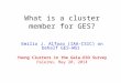 Emilio J. Alfaro (IAA-CSIC) on behalf GES- WG1 Young Clusters in the Gaia-ESO Survey Palermo, May 20, 2014 What is a cluster member for GES?
