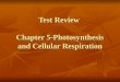 Test Review Chapter 5-Photosynthesis and Cellular Respiration