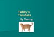 By Tammy Tabby’s Troubles Tabby was a very curious cat Tabby was always getting into trouble Tabby was always getting into trouble He liked to chase