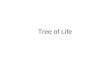 Tree of Life. Introduction Theōria Ephrem Syrus (the Syrian), 4th century; see Sebastian Brock, The Luminous Eye: The Spiritual World of St. Ephrem (1985;