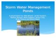 Storm Water Management Ponds A presentation by: Matt Brewer, Jordan Faubert, Nathan Dehaan, Matt Dodgson, Jamie Craig, Brian Faneca and Drew Cowell