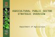 DEPARTMENT: AGRICULTURE AGRICULTURAL PUBLIC SECTOR STRATEGIC OVERVIEW Department of Agriculture