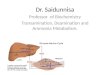 Dr. Saidunnisa Professor of Biochemistry Transamination, Deamination and Ammonia Metabolism