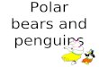 Polar bears and penguins. Alice looked out her window and saw some penguins and polar bears having a luau in her front yard. She saw 12 animals altogether