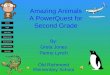 TASK PROCESS RESOURCES EVALUATION CONCLUSION TEACHER INTRO Amazing Animals A PowerQuest for Second Grade By: Greta Jones Penny Lynch Old Richmond Elementary